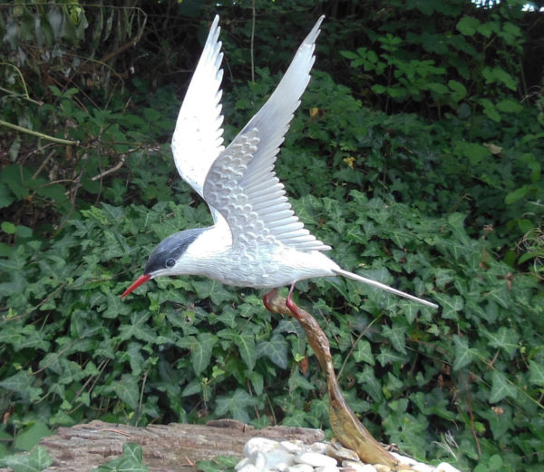 British Birds by Mike Watkins