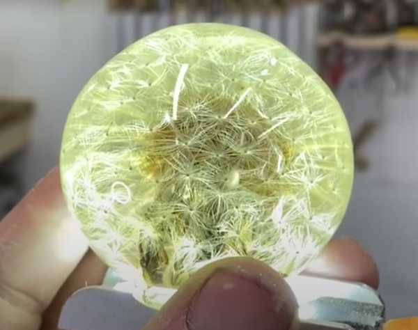 Using plants, like dandelions, in ‘resin-art’ (encasing in epoxy)