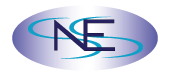 Navi Safe Engineering Services LLC
